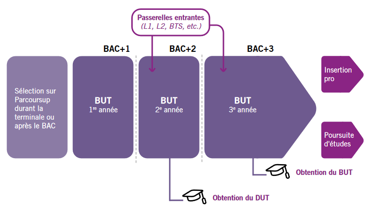 BUT : frise chronologique