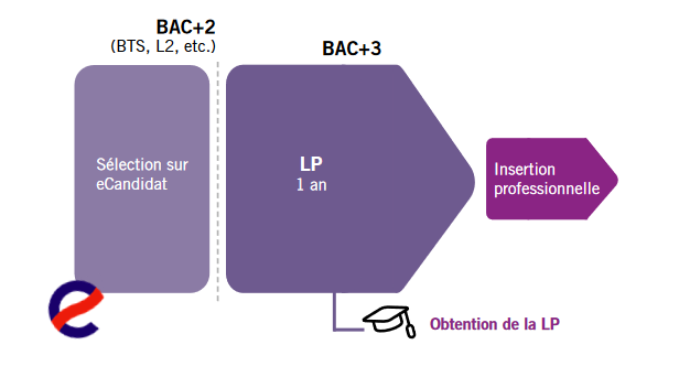 LP : frise chronologique