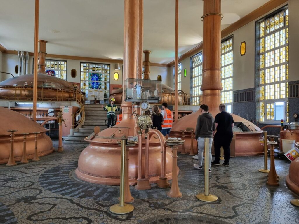 Visite de la brasserie Heineken