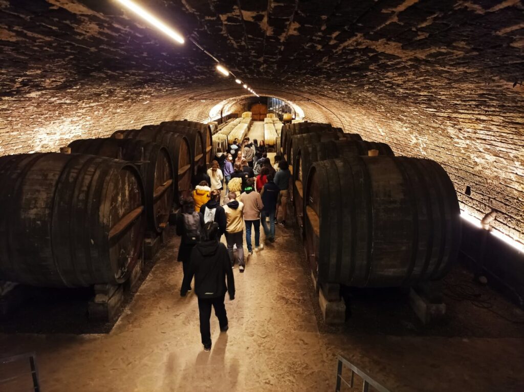 Visite d'une fruitière à comtés à Poligny